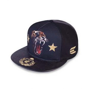 Flat bill 5 panels cap