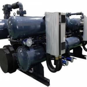 CENTRIFUGAL INVERTER TYPE COMPRESSOR