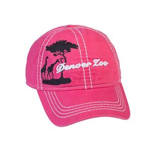 Curved visor