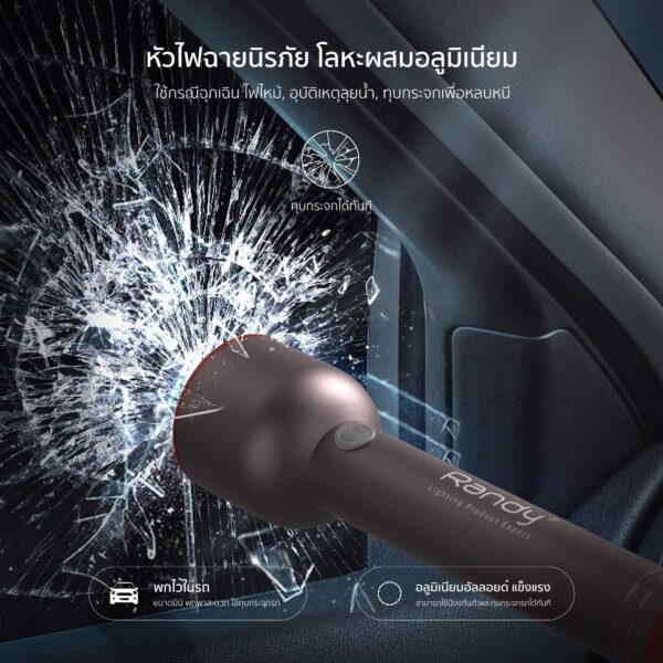 Đèn pin hợp kim nhôm Randy - Ảnh 9