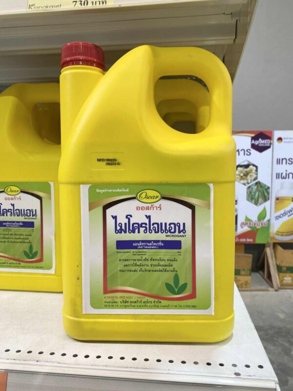 Microgiant – Phân Vi Lượng Tăng Cường Sinh Trưởng & Nuôi Trái – Chai nhựa 4L [4 chai / 1 thùng]