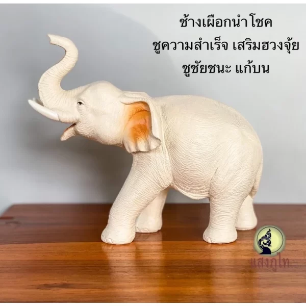 Tượng voi trắng Elephant Holding Trunk - Dáng vương vòi ăn mừng - Ảnh 3