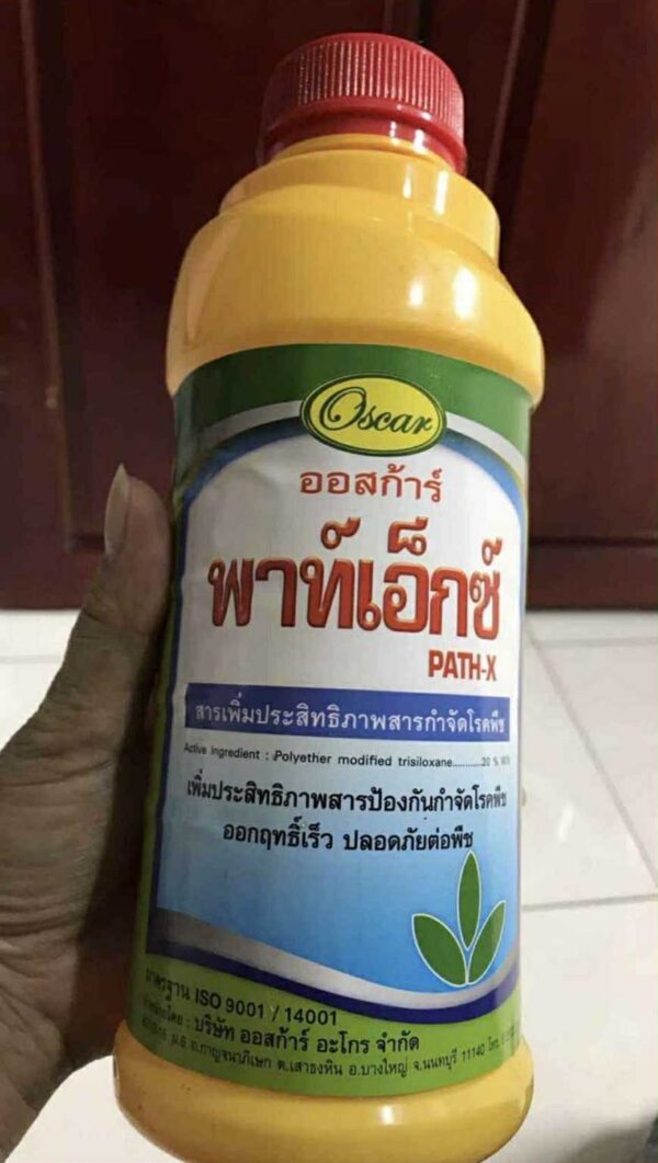 Oscar Path X – Diệt Khuẩn Mạnh, Ngăn Ngừa Thối Nhũn & Vàng Lá – Chai nhựa 1L [12 chai / 1 thùng]