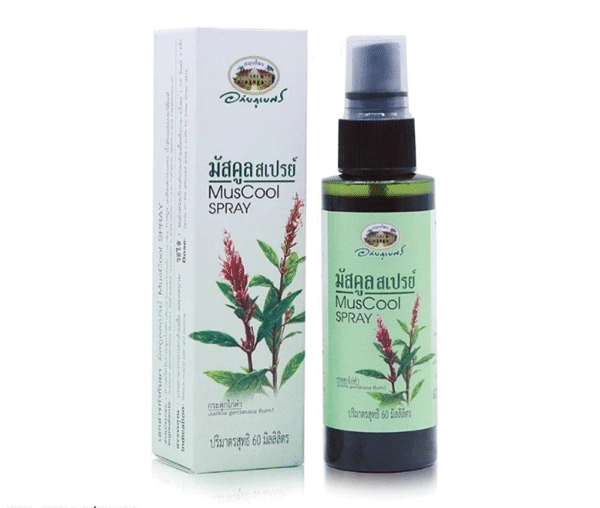 Xịt thảo dược giảm đau cơ MusCool Spray Thái Lan