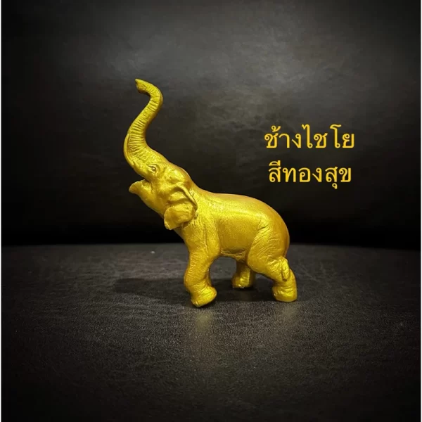 Tượng voi phong thủy – Chú voi Chaiyo nâng vòi cầu thành công - Ảnh 7