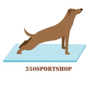 Quần áo thể theo  250SPORTSHOP