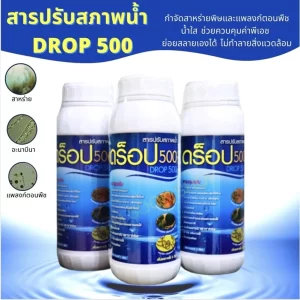 DROP 500  Dung dịch xử lý nước và diệt tảo hại (สารปรับสภาพน้ำ DROP 500)