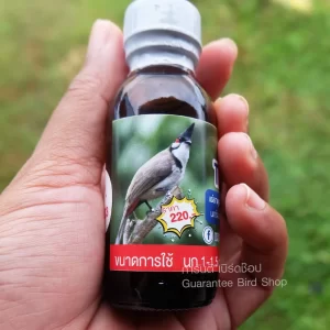 THE CHAMPION – Khoáng Chất Kỳ Diệu Đập Tan Mọi Vấn Đề Cho Chim Chào Mào Mất Lửa