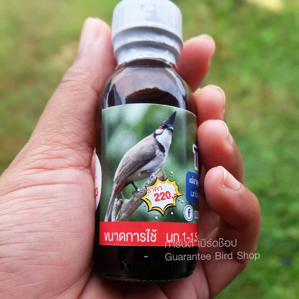 THE CHAMPION – Khoáng Chất Kỳ Diệu Đập Tan Mọi Vấn Đề Cho Chim Chào Mào Mất Lửa
