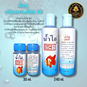 Betta Fish Market  Dung dịch làm trong nước và diệt khuẩn SC  của thương hiệu