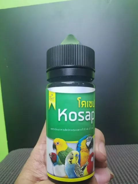 KOSAP – Bí Quyết Bảo Vệ Hệ Tiêu Hóa, Chống Thท้อง Diễn Cho Chim Cảnh