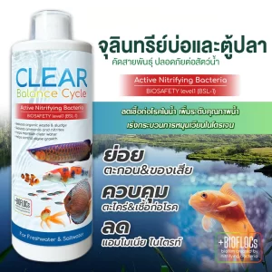 Vi sinh sống dạng nước cao cấp CLEAR Balance Cycle (Active Nitrifying Bacteria)
