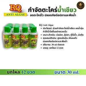 Dung dịch diệt tảo xanh và rêu hại RQ Anti Algae
