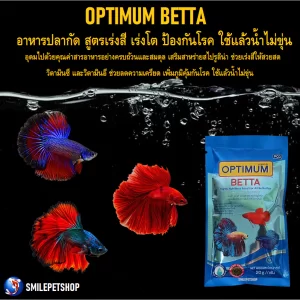 OPTIMUM BETTA – Công Thức Vàng Giúp Cá Chọi Lớn Nhanh, Lên Màu Siêu Đẹp