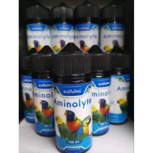 AMINOLYTE – Axit Amin & Điện Giải Cao Cấp Giúp Chim Phục Hồi Sức Khỏe Siêu Tốc
