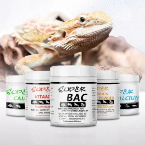 bộ thực phẩm chức năng bổ sung dạng bột cao cấp cho bò sát