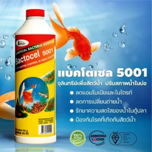 Bactocel 5001 Men vi sinh sống dạng nước cao cấp   300 ml