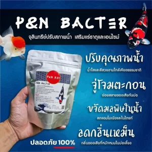 Men vi sinh bột cao cấp P&N BACTER