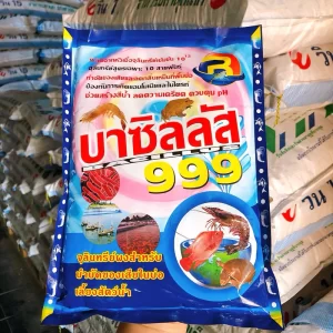 Men vi sinh bột xử lý nước chuyên dụng cho ao nuôi thủy sản Bacillus 999
