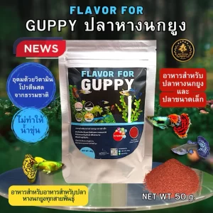 Medifish Product FLAVOR FOR GUPPY  Thức ăn hạt cao cấp cho cá bảy màu  (trọng lượng gói 50g
