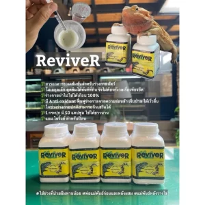 ReviveR Viên nang bột dinh dưỡng phục hồi chuyên sâu  dành cho bò sát và động vật lưỡng cư (như rồng râu, tắc kè, rùa, kỳ nhông...).  50 viên/hộp,
