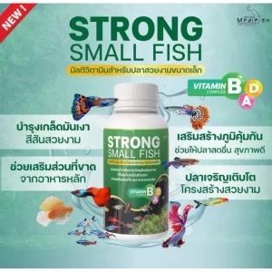 Strong Small Fish một loại vitamin tổng hợp dạng nước  cho các dòng cá cảnh cỡ nhỏ  hiệu Medifish Product.