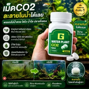 Viên sủi CO2 dành cho hồ thủy sinh G Water Plant CO2 Tablet (100 viên