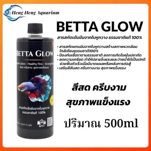 Cốt lá bàng đậm đặc Betta Glow