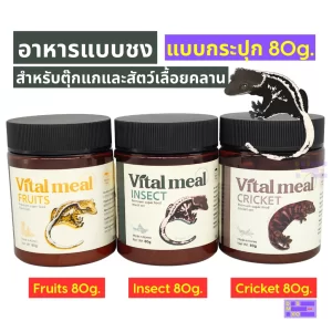 Vital Meal thức ăn dạng bột pha (Super Food) cao cấp cho bò sát   hũ 80g