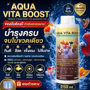 Cốt vitamin tổng hợp cao cấp Aqua Vita Boost (250 ml)