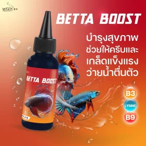 Cốt vitamin dưỡng cá Betta Boost (50 ml)