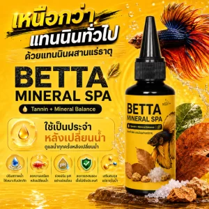 BETTA MINERAL SPA – Bí Quyết Chăm Sóc Cá Chọi Khỏe Mạnh Toàn Diện