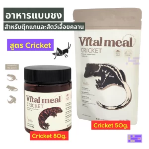 Vital Meal vị Dế (Cricket ver.)  Thức ăn dạng bột pha cao cấp