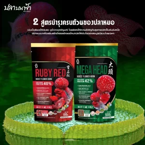 BOOST FLOWER HORN  BỘ ĐÔI – Bí Quyết Kích Đầu To, Lên Màu Đỏ Rực Cho Cá La Hán
