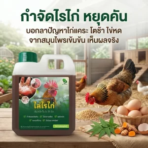 DR. FARM Nước thảo mộc diệt ký sinh trùng như mạt gà, ve, rận, bọ chét bám trên cơ thể gia cầm