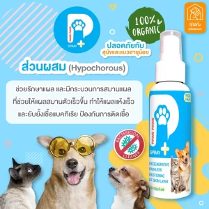 Paws Paws Spray – Xịt Sát Trùng Dịu Nhẹ, Phục Hồi Da Cho Chó & Mèo
