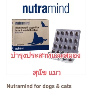 Nutravet Nutramind – Giải Pháp Tăng Cường Chức Năng Não Bộ & Hệ Thần Kinh Cho Chó & Mèo