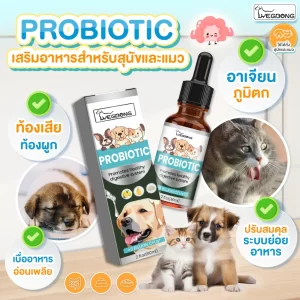 VegBong Probiotic Promotes Healthy Digestive System