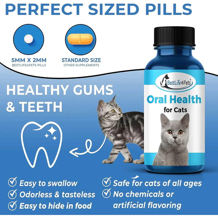 BestLife4Pets Oral Health – Giải Pháp Hỗ Trợ Răng Miệng Toàn Diện Cho Mèo