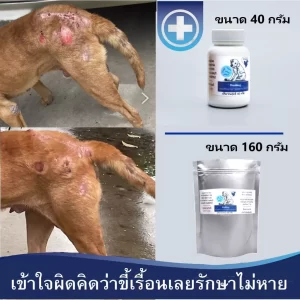 Ruddog – Giải Pháp Thảo Dược Đột Phá Cho Bệnh Viêm Da Nhiễm Trùng Ở Chó & Mèo