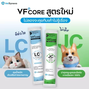 VF+Core – Súp Thưởng Dinh Dưỡng Cao Cấp Chăm Sóc Sức Khỏe Chuyên Biệt