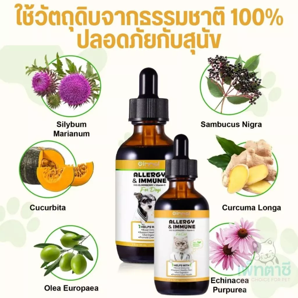 Oimmal Allergy & Immune – Siro Thảo Dược Hỗ Trợ Giảm Dị Ứng & Tăng Cường Miễn Dịch Cho Thú Cưng