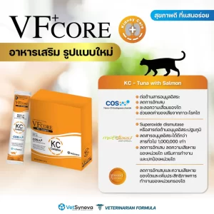 VF+Core KC – Súp Thưởng Bổ Thận, Giảm Độc Tố Cho Thú Cưng
