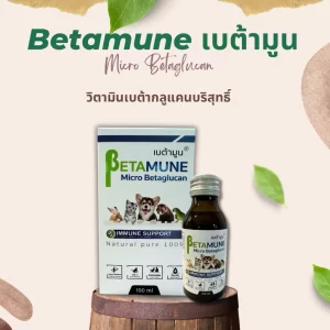 Betamune – Giải Pháp Tăng Đề Kháng Công Nghệ Cao Cho Thú Cưng