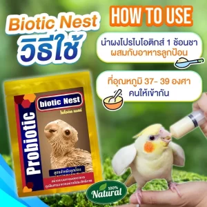 Men vi sinh Biotic Nest (ไบโอติค เนสท์), một dòng probiotic hữu cơ cao cấp (100% Natural) chuyên dụng cho chim non (chim nuôi bộ/chim đút muỗng)