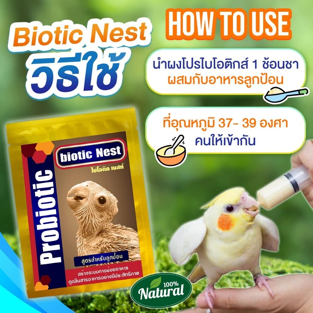 Men vi sinh Biotic Nest (ไบโอติค เนสท์), một dòng probiotic hữu cơ cao cấp (100% Natural) chuyên dụng cho chim non (chim nuôi bộ/chim đút muỗng)