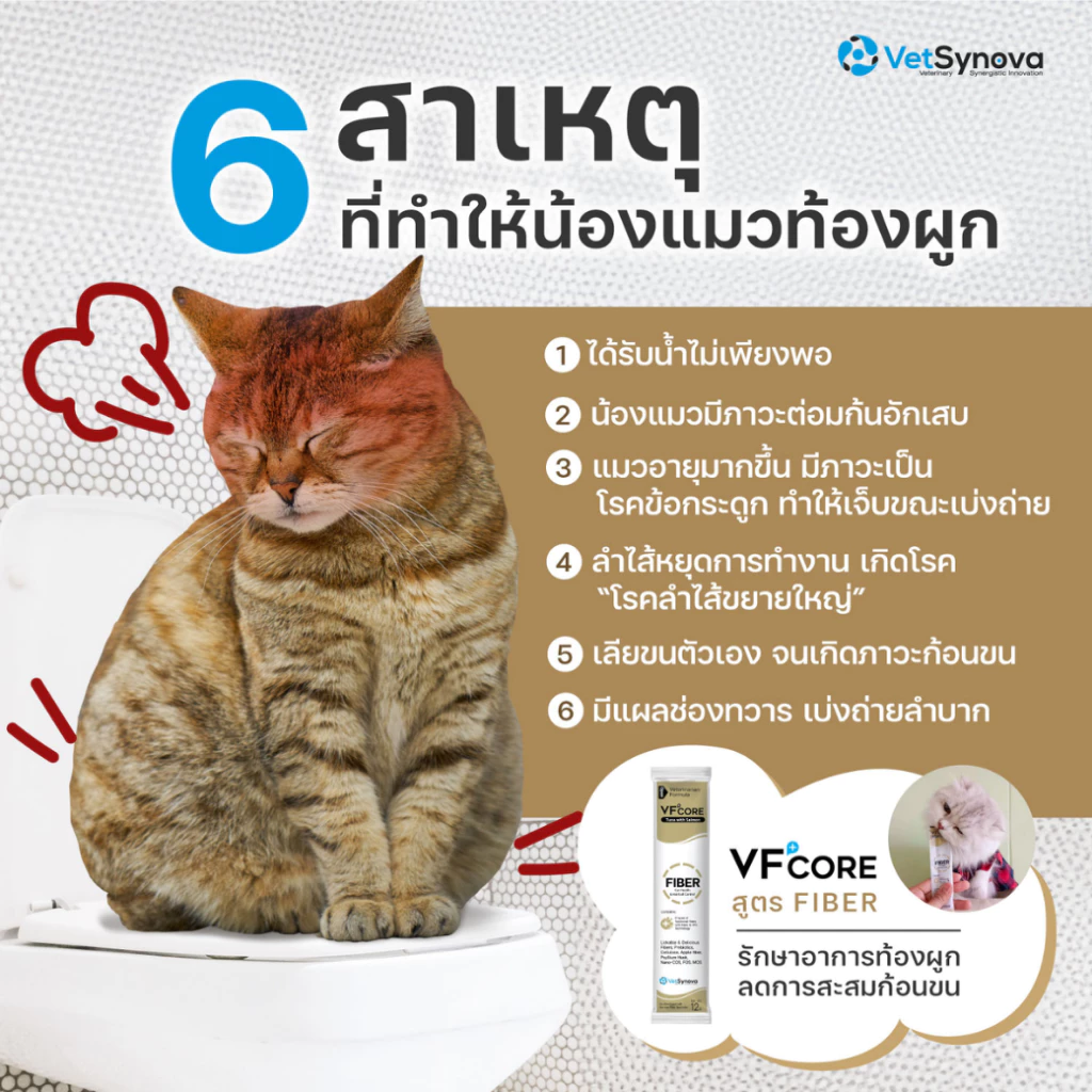 VF+Core FIBER – Giải Pháp Vàng Đập Tan 6 Nguyên Nhân Gây Táo Bón Ở Mèo
