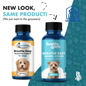 BestLife4Pets Breathe Easy – Giải Pháp Vi Lượng Đồng Căn Giảm Ho & Hỗ Trợ Hô Hấp Cho Chó