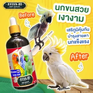 Dung dịch Vitamin và Axit Amin cao cấp Avian-Hi (เอเวียงไฮ วิตามินบำรุงนก)