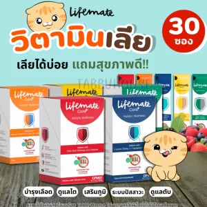 Lifemate Care+ – Súp Thưởng Dinh Dưỡng Chức Năng Chăm Sóc Sức Khỏe Toàn Diện Cho Mèo